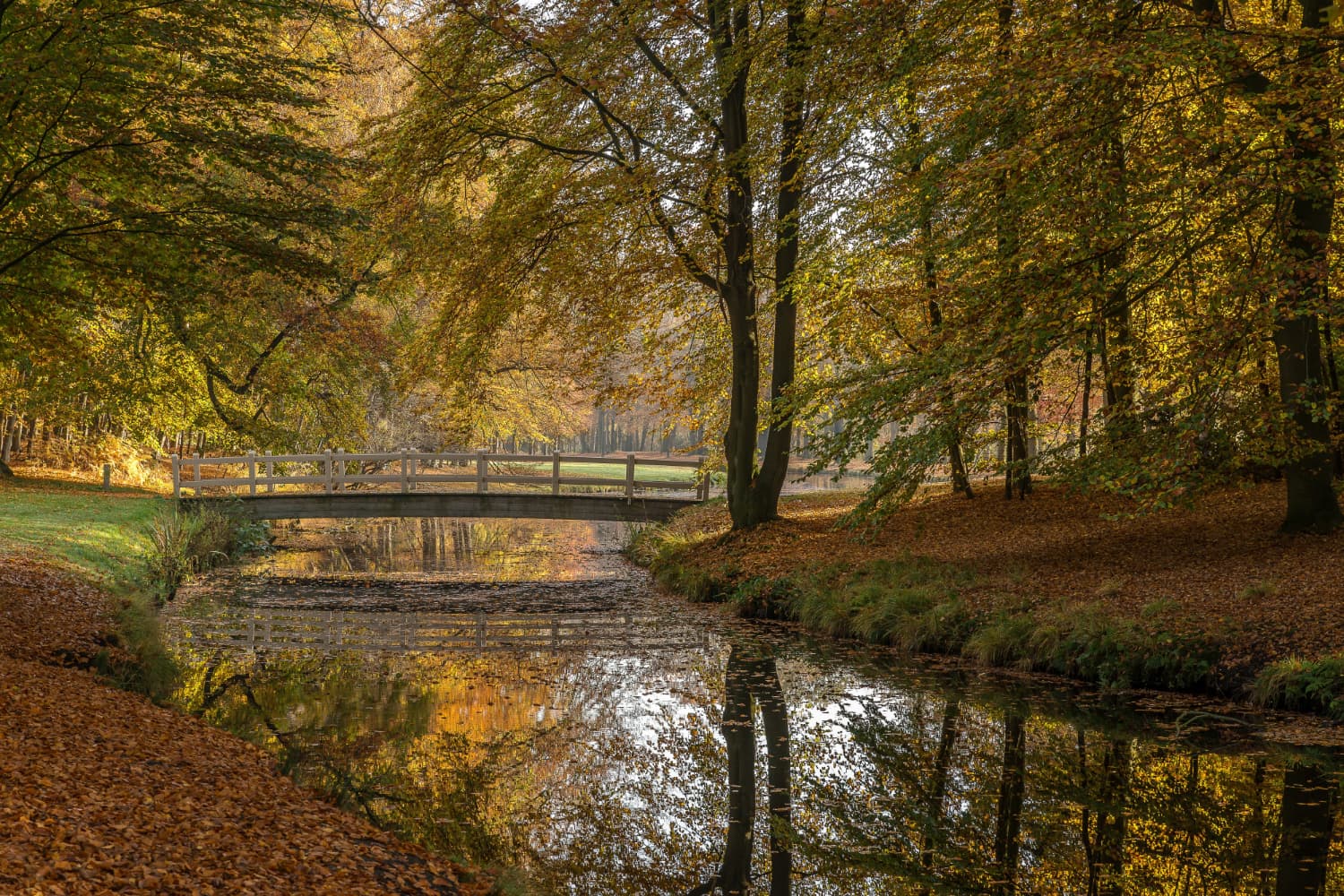 TRANSITION ETE AUTOMNE REFLEXOLOGIE BIEN-ETRE SANTANS